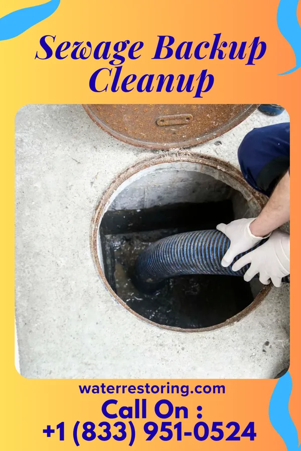 Sewage Backup Cleanup in Farmington Hills, MI