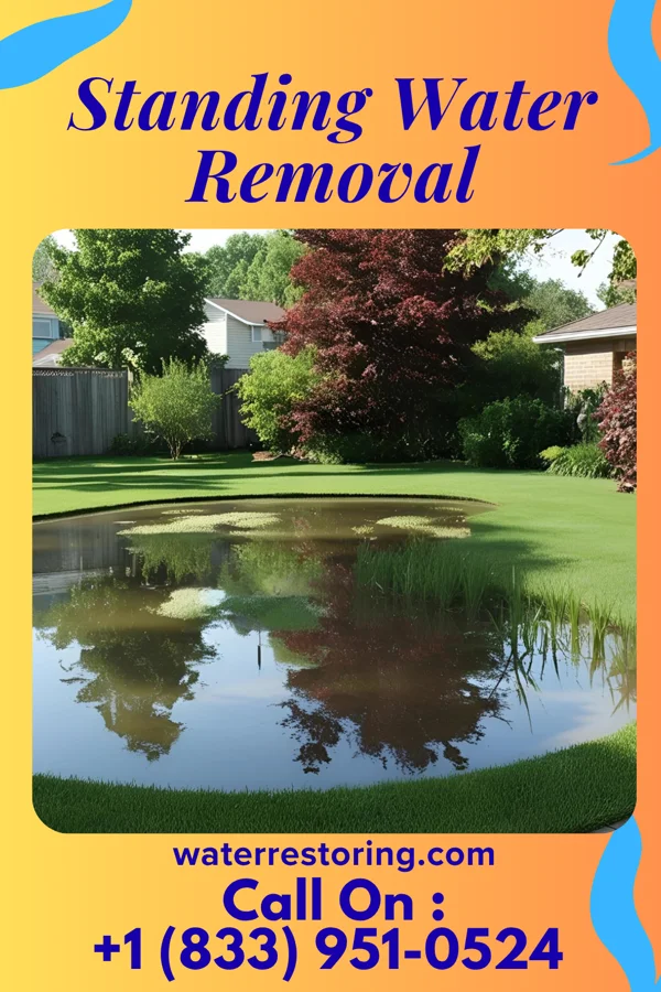 Standing Water Removal in Farmington Hills, MI